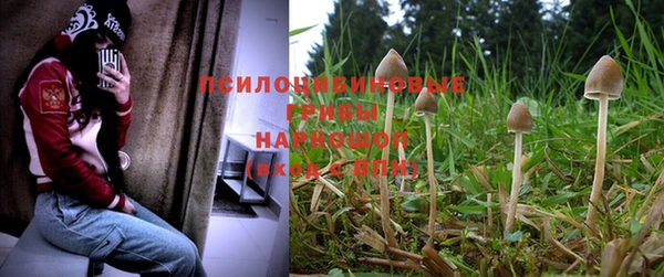 наркотики Алексеевка