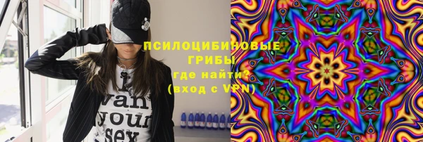 прущие крисы Алзамай