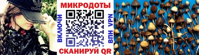 KRAKEN зеркало  купить наркоту  Избербаш  Галлюциногенные грибы прущие грибы 