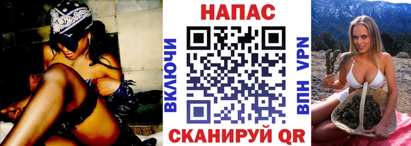 где купить наркоту  Избербаш  Бошки Шишки семена 
